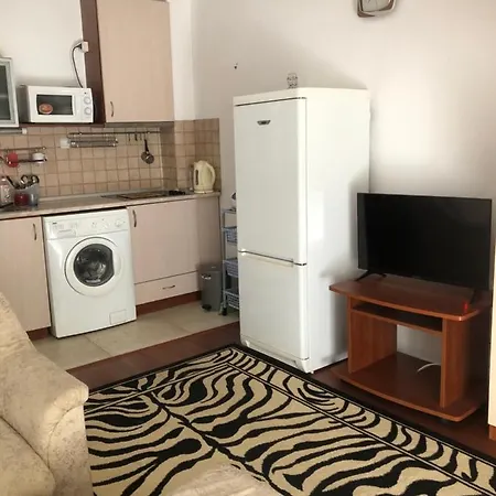 Sunny In Sunny Apartment *