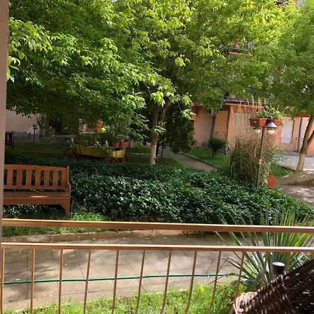 Sunny In Sunny Apartment *