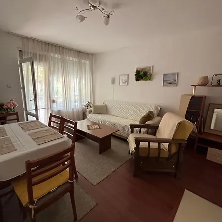 Sunny In Sunny Apartment