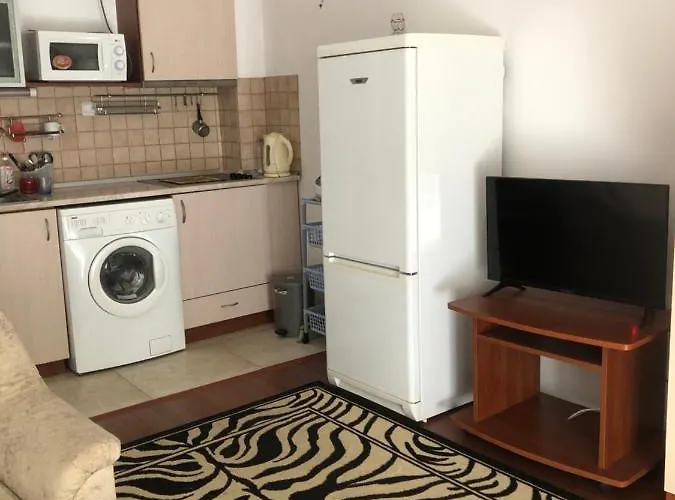 Sunny In Sunny Apartment *