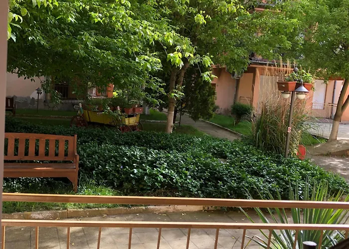 Sunny In Sunny Apartment *