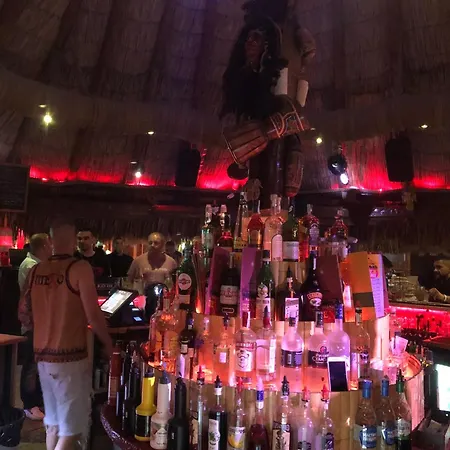 Sunny In Sunny Apartment