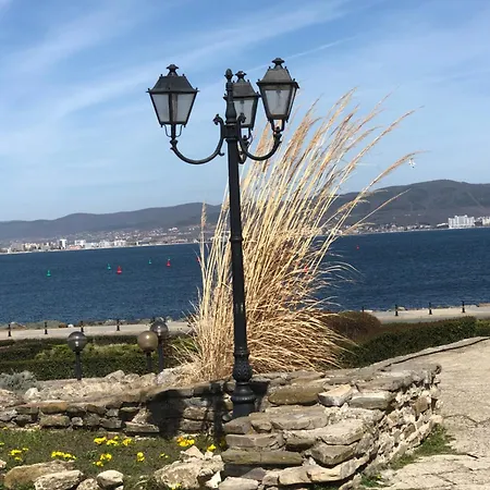 Sunny In Sunny Apartment